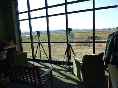 Seating area and viewing scopes for refuge at the rear of the store in the Wildlife Center